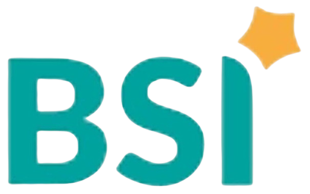 BSI Access